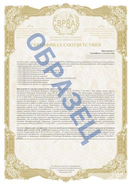 Образец Приложение к СТО 01.064.00220722.2-2020 Чистополь Сертификат СТО 01.064.00220722.2-2020 